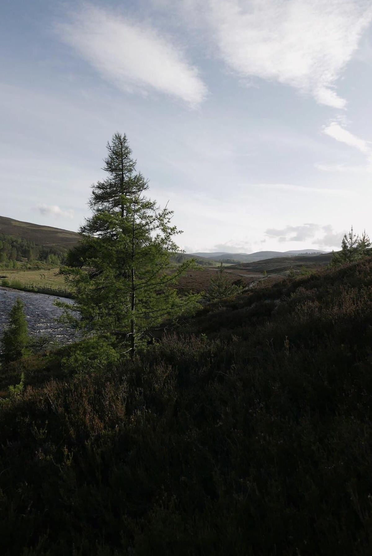 Huswell - Gairnshiel Lodge - Unique & Exclusive Lodge Next To The Castle Ballater Kültér fotó
